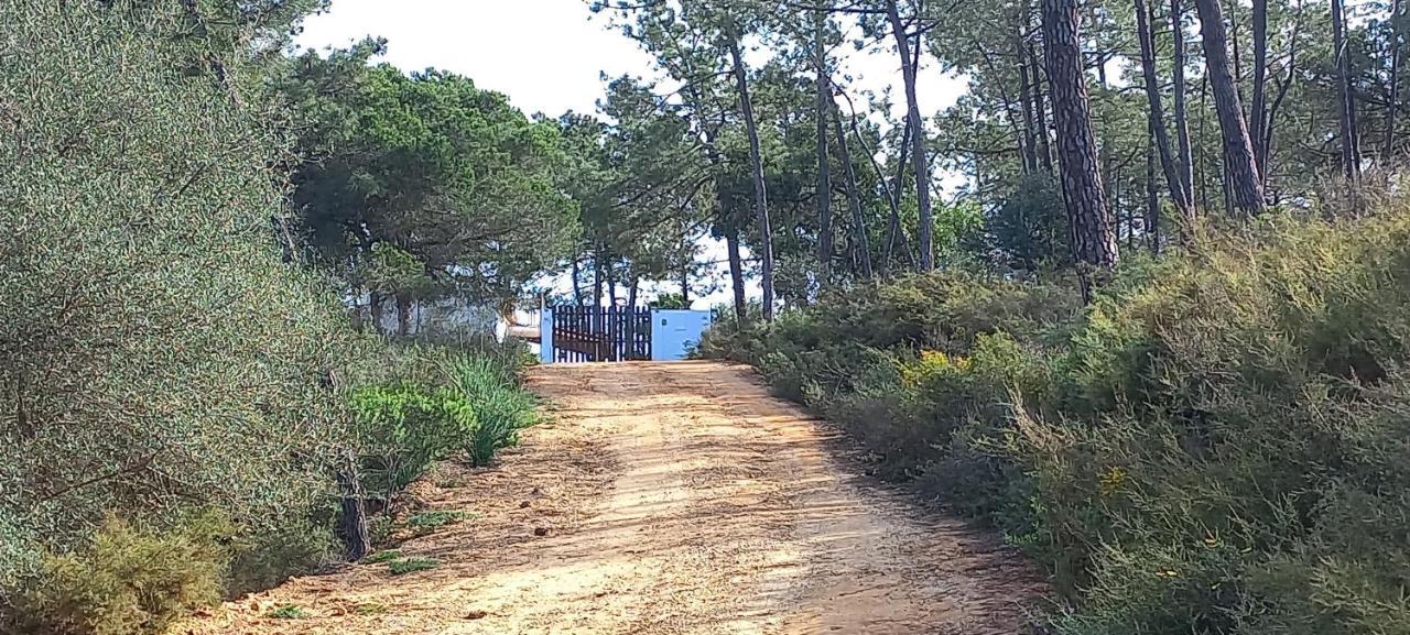 Casa Do Pinheiro - Parque Natural Da Ria Formosa. Tavira Esterno foto