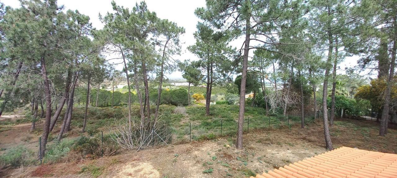 Casa Do Pinheiro - Parque Natural Da Ria Formosa. Tavira Esterno foto